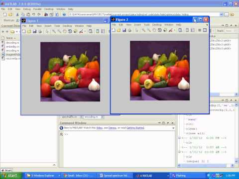 VQ Applications in Steganographic Data Hiding Upon Multimedia Images