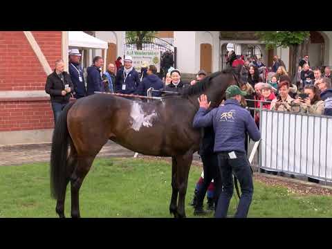 Galopprennbahn Dresden - 05.05.2019 - Rennen 1