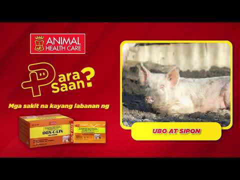 PARA SAAN: DOX-C-LIN