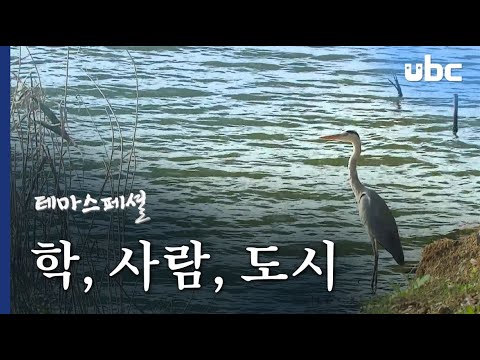 [테마스페셜] 학, 사람, 도시