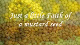 Two Or More | Faith of a Mustard Seed ( Un Grano De Mostaza )