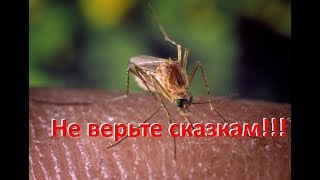 Ссылка