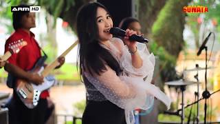 Download lagu HEY TAYO (TAYO THEME SONG) - VERSI DANGDUT OM SONATA mp3