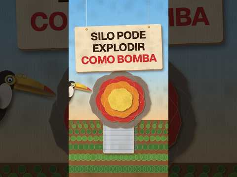 A causa real das explosões em silos de grãos 🔎 #curiosidades #agro