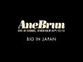 Ane Brun "Big In Japan - Live" 