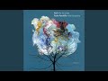 Cello Suite No. 6 in D Major, BWV 1012 (arr. P. Pandolfo) : III. Courante