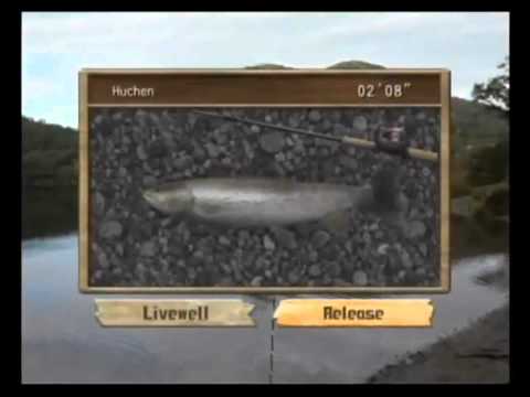 reel fishing angler's dream wii soluce