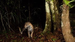 Nature & Wildlife Photography Advice & Tips Florian Schulz