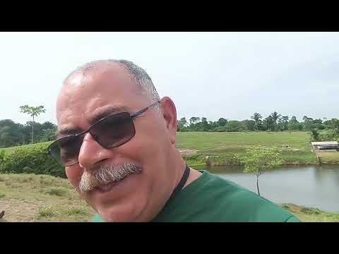 O mexeriqueiro e o Difamador 