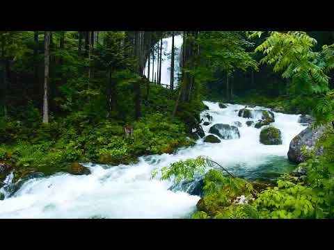 71  Surja Nuh   Nuhi I dërguar Kuran Shqip