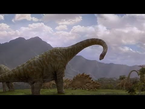 Jeux Conseils # 73 -  Evolution - Règles importantes, conseils, configs et variantes