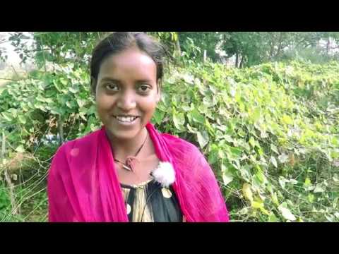 Success stories from WorldVeg