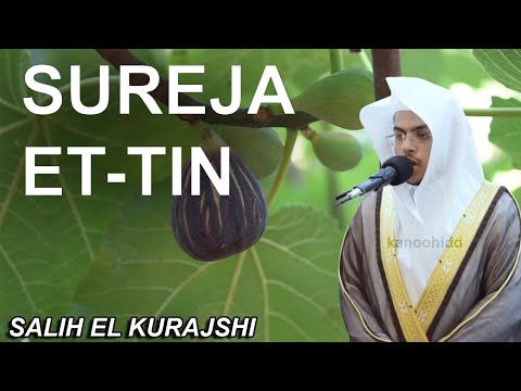 Sureja Tin (Fiku) - Salih El Kurajshi