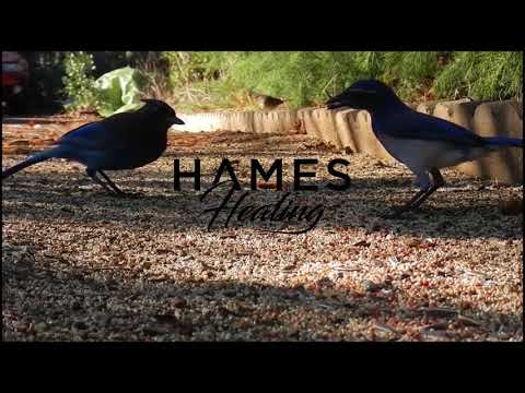 Claude VonStroke vs Sébastien V – Daylight Dark Room