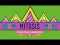 Documentary Science - Crash Course - Biology - Mitosis - Splitting Up is Complicated