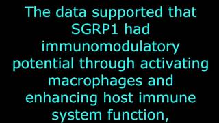 Sarsaparilla (Benefits)