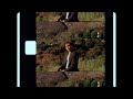 Joshua Bassett Circles Official Visualizer