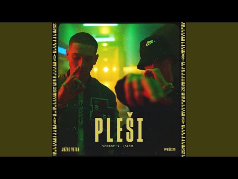 Plesi