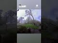 Tornado Levels EVERY Tree In Yard (Portage, MI)