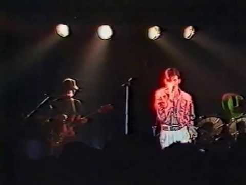 Frank Tovey - Fad Gadget - Volkshaus Zurich 29.10.85: Luxury, Jump, CNP, Back to Nature