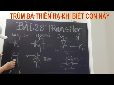 Bài 28: Biết Con Này Trùm Bá Thiên Hạ (Transitor) #thnln #tips usa