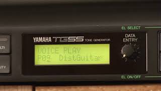 Yamaha TG55 Tone Generator - What To Know & Where To Buy | Equipboard