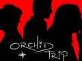 Orchid Trip - Cup
