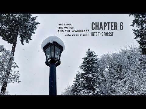 The Lion, the Witch, and the Wardrobe Ch. 6 - Into the Forest