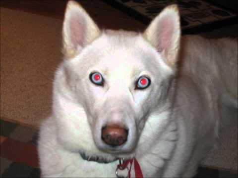 Solex-Close To The Edge (mixed by Matt Darey & Adam White)