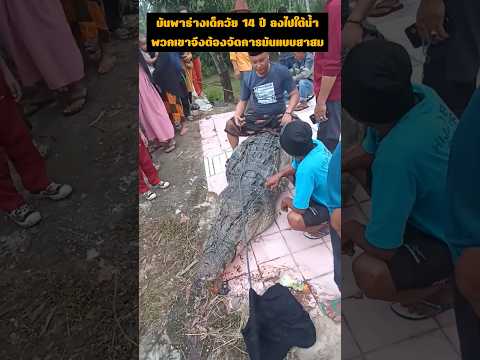 มันพาร่างเด็กวัย 14 ปี ลงไปใต้น้ำ พวกเขาจึงต้องจัดการมันแบบสาสม #wildlife #animals #buaya #crocodile