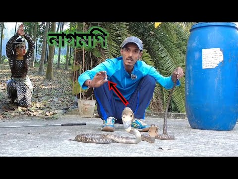 NAAGMANI 3 (नागमणि ३) - Kaal Naag Naagin Rahasya | VLOG FULL EPISODE 3 পঞ্চমী | Cobra Snake Attacks