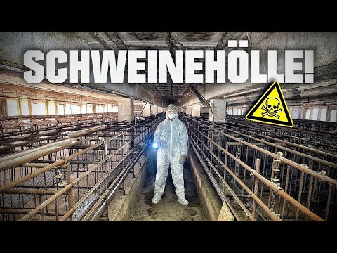 DIE SCHWEINEHÖLLE VON KÖTHEN