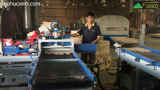 DÂY CHUYỀN GHÉP FINGER TỰ ĐỘNG - ĐẠI PHÚC VINH 2017