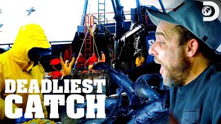 The Saga&#39;s New Haul: Black Cod? | Deadliest Catch