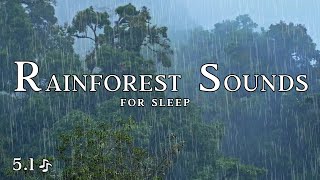 Rainforest Rain Sounds for Sleeping. White Noise 10H