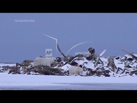 AP Explains: Why sometimes elections are not held in Alaska's far-flung Native villages