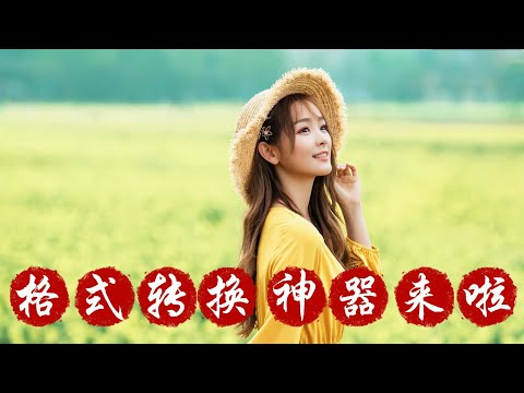 【格式转换】: 媒体转换神器来啦...视频、音频、图片一键搞定！