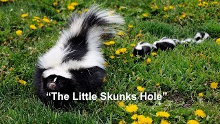 The Little Skunks Hole