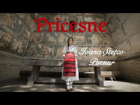 Colaj Pricesne 2024 - Ioana Stetco Poenar