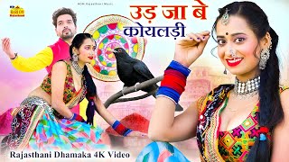 NEW SONG 2023 - उड़ जा बे कोयलड़ी (New Video) Renu Rangili #Latest Rajasthani Dj Hit Fagan Love Song