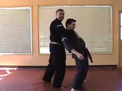 American Kenpo - Mohamad Tabatabai - Thundering Hammers