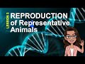 Earth And Life Science Quarter 2 ANIMAL REPRODUCTION