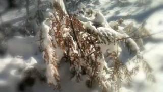preview picture of video 'Monte Serra con la neve'