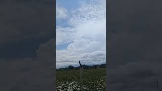 Download lagu NEGERI DI AWAN 🌬🌬🌫🌬#shorts #awan #katonbagaskara @DumaMiando mp3 Download lagu NEGERI DI AWAN 🌬🌬🌫🌬#shorts #awan #katonbagaskara @DumaMiando mp3