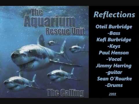 Aquarium Rescue Unit - Reflections