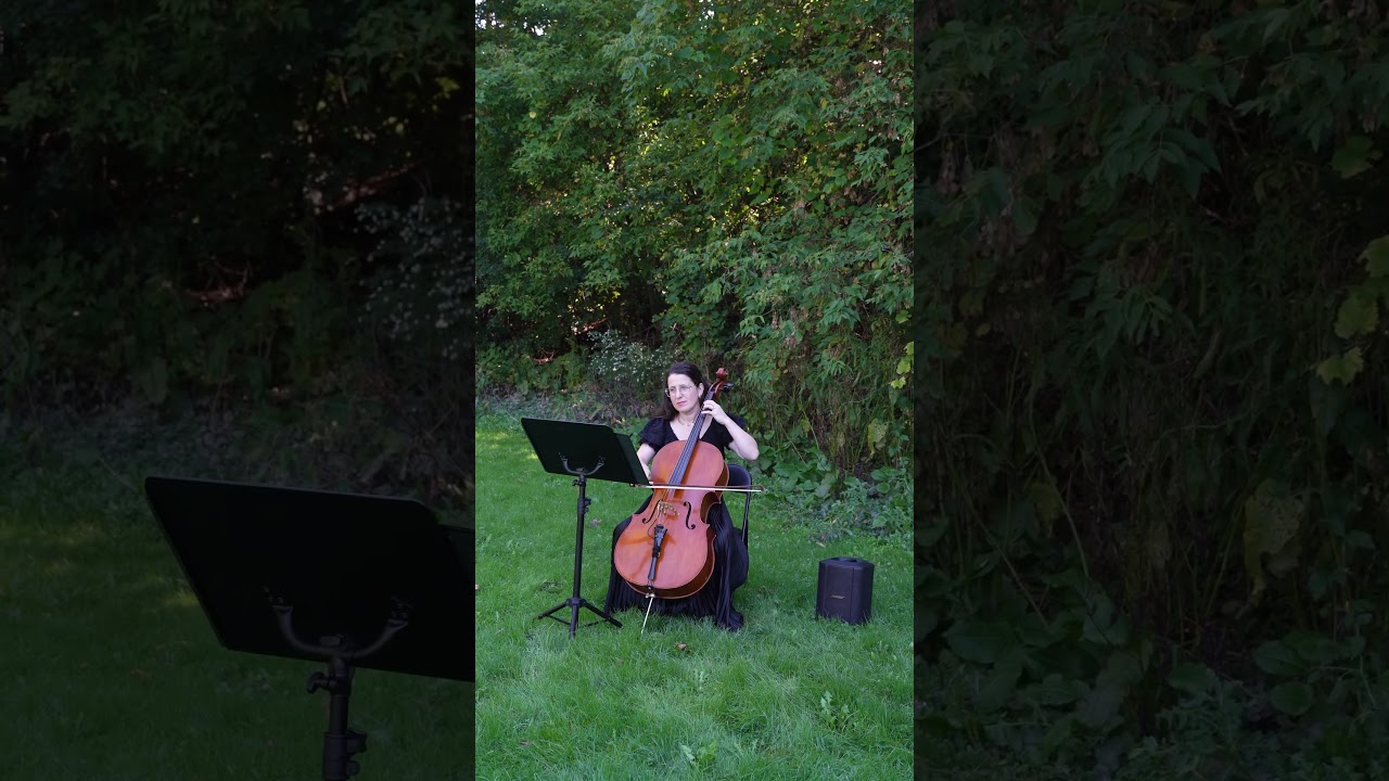 Promotional video thumbnail 1 for Cellist Zaida