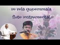 Ve Vela Goppemala Flute Instrumental Nagaraju Talluri