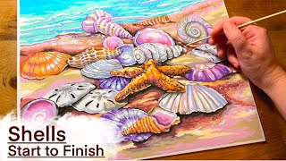 SHELLS - Paint by Numbers from Start to Finish