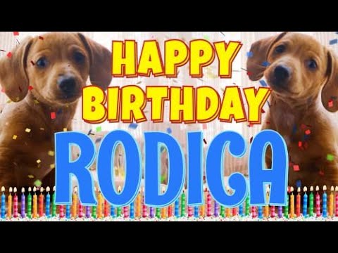Happy Birthday Rodica! ( Funny Talking Dogs ) What Is Free On My Birthday