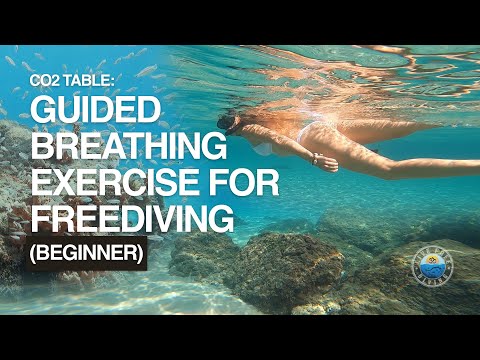 Co2 Table: Guided Breathing Exercise for Freediving and Wellness (Beginner)